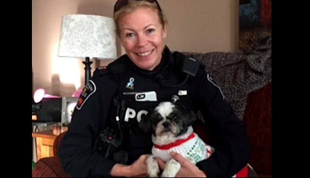 Durham cop who removed kitten from drug user's home to face ... - CTV News