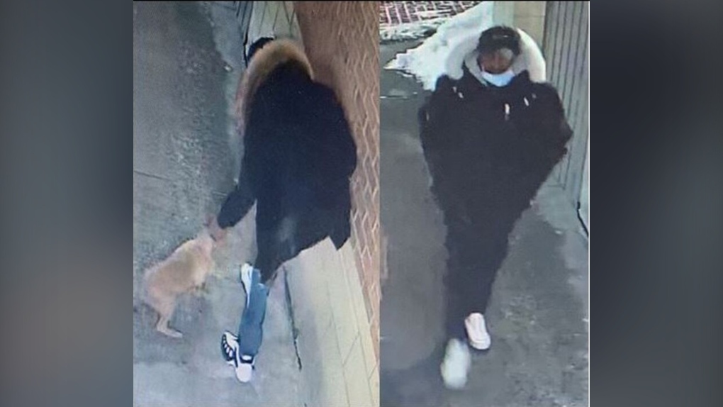 Toronto police are looking for two suspects wanted in connection with a robbery in midtown on Saturday, Jan. 22, 2022. (Toronto Police Service)