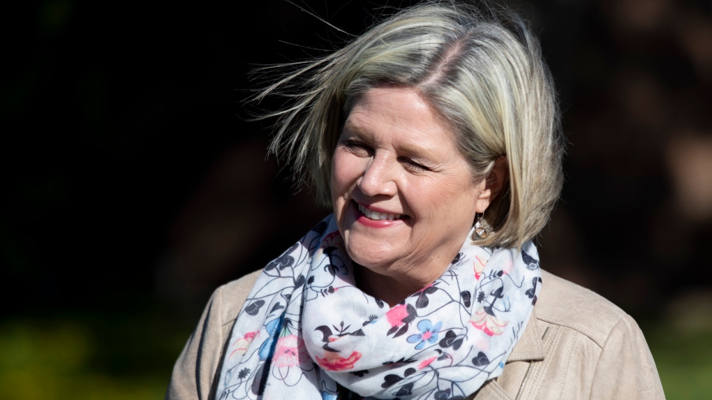 Andrea Horwath Expected To Run For Hamilton Mayor Ctv News