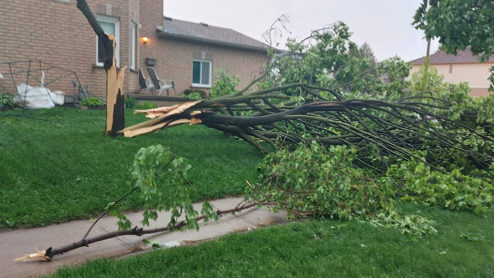 Ontario'da şiddetli bir fırtına koptuktan sonra üç ölü, 350 binden fazla elektriksiz kaldı
