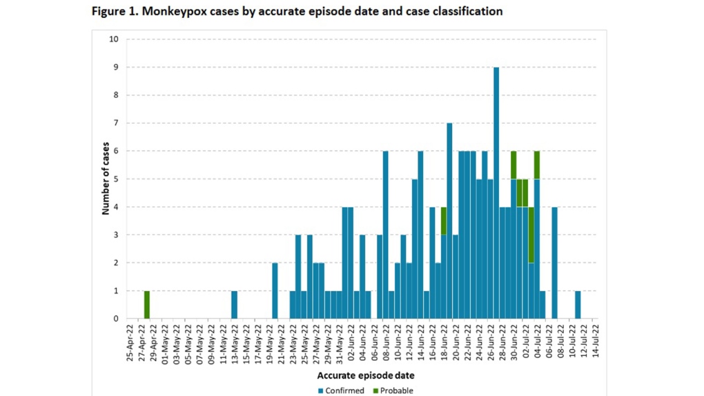 What does monkeypox look like? What to know as Toronto finds new cases