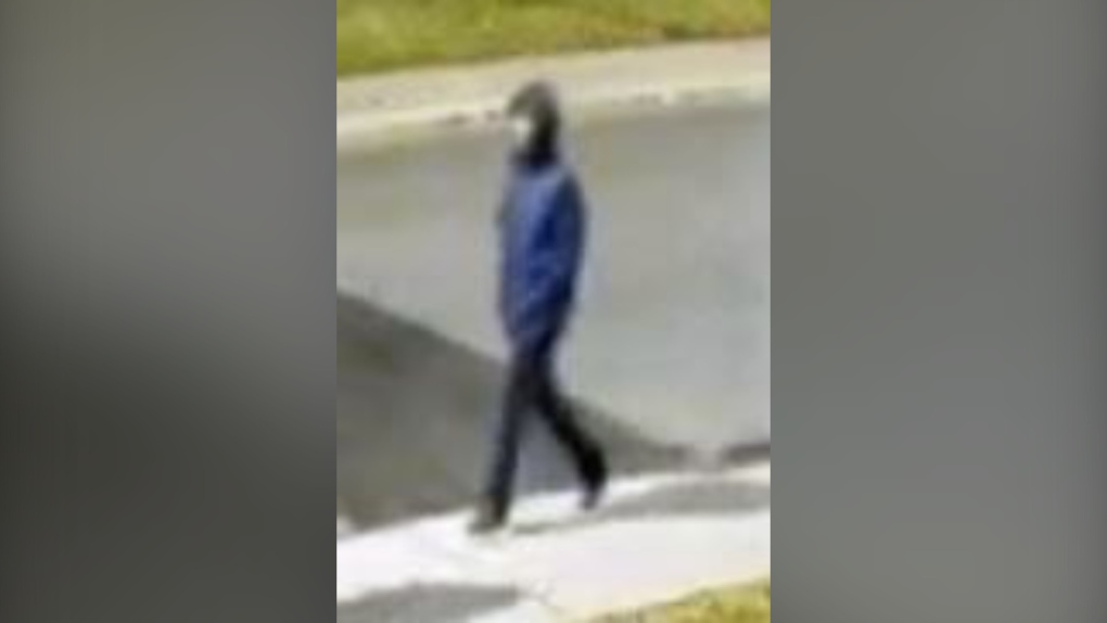 Woman followed home, sexually assaulted in North York | CTV News