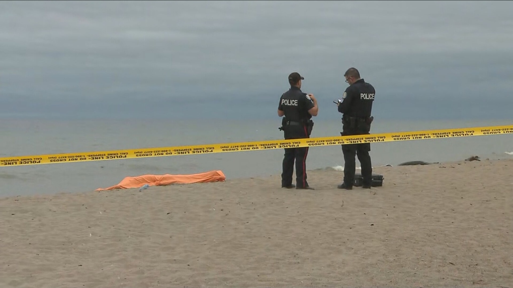 Person found dead in water near Rouge Beach: paramedics | CTV News