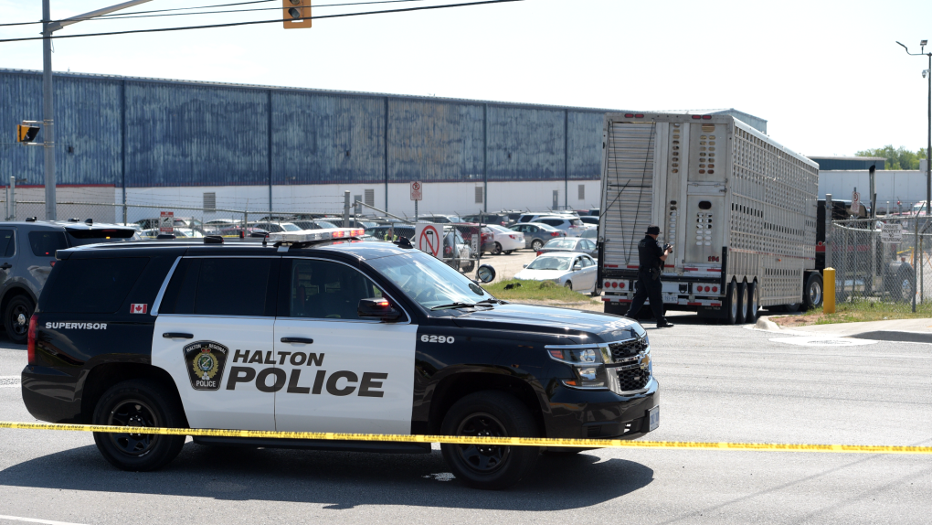 A Halton Police cruiser can be seen outside a slaughterhouse in Burlington, Ont. (Andrew Collins)