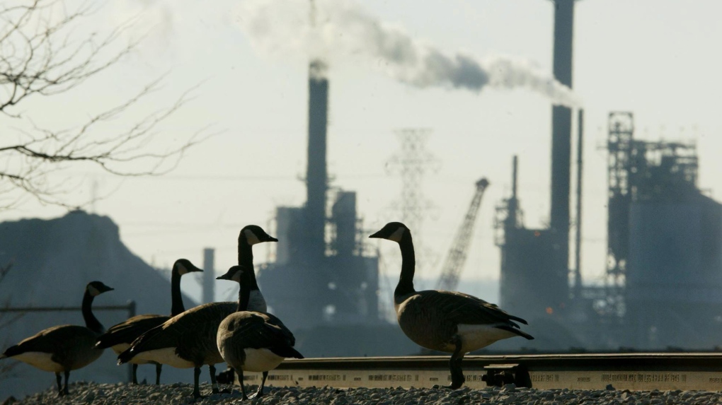 A group of Canada geese stand on railway tracks as a plant operates in the background at Hamilton Harbour in Hamilton, Ont. Tuesday December 10, 2002. (CP PHOTO/Kevin Frayer)