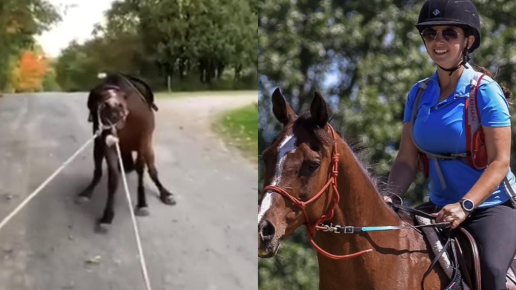 Une vidéo tirée par un cheval mène à l'accusation d'une Ontarienne