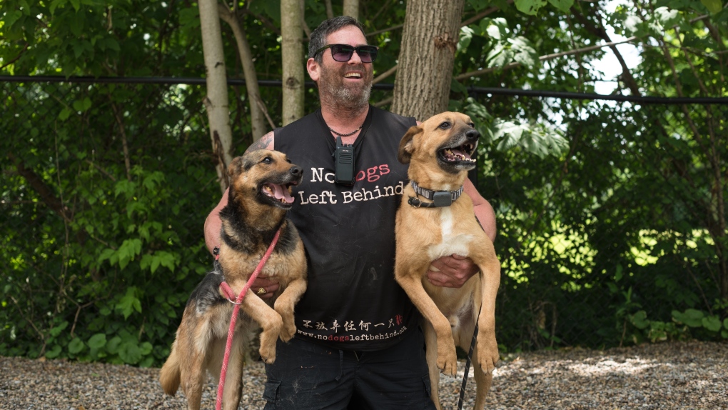 No Dogs Left Behind founder Jeffrey Beri, holds Papo, left, and Gibson, at his sanctuary in Toronto, on Wednesday, June 29, 2022. The pair, who were the last of the mixed-breed street dogs from Afghanistan, who were too young to transport earlier this year, arrived in Canada on June 24. THE CANADIAN PRESS/Tijana Martin 