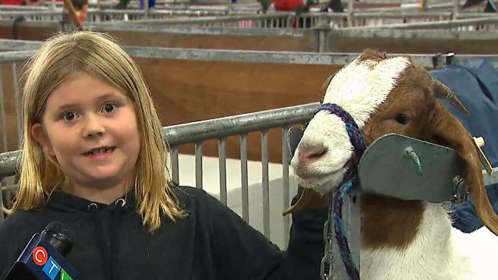 Royal Winter Fair brings farm to Toronto