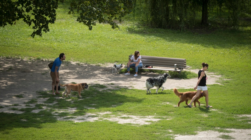 Toronto dogs parks