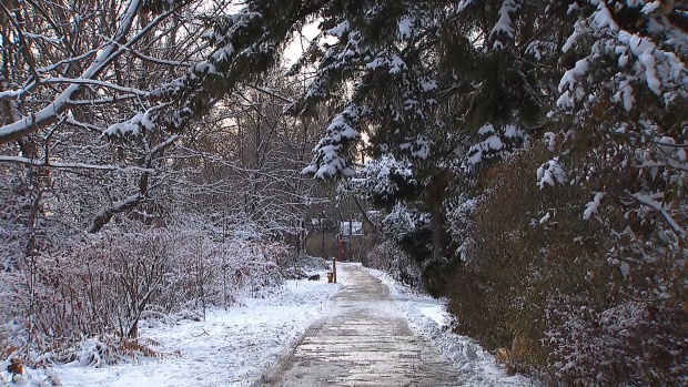 Toronto Islands